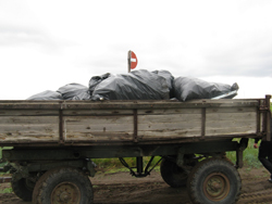 Всего с ООПТ вывезли 56 мешков мусора