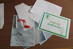 Организатором экологического квеста стала Дирекция по ООПТ при поддержке Детской эколого-биологической станции города Дивногорск