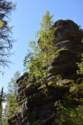 В минвушую пятницу в Красноярском крае отметили юбилей памятника природы Мининские Столбы
