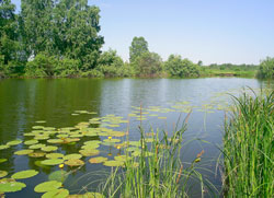 Воды озера Абакшинское считаются целительными.