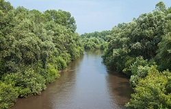 Река Шушь
