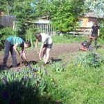 Юннаты Ермаковской ДЭБС работают в саду