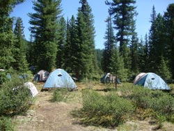 Палаточный лагерь Тушканчик
